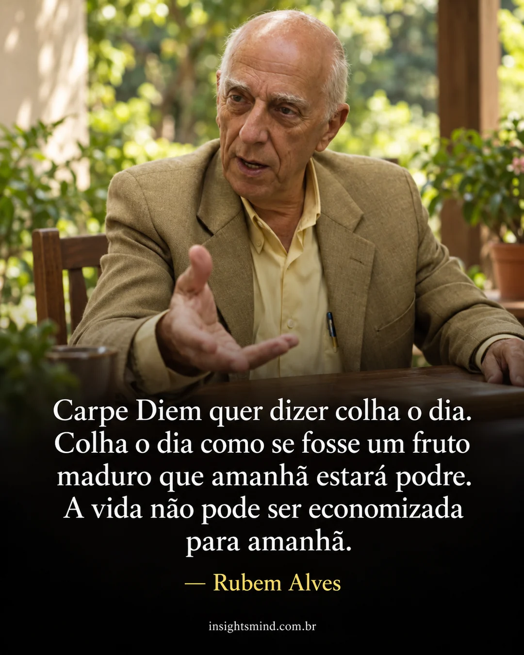 Imagem com a frase “Carpe Diem quer dizer colha o dia. Colha o dia como se fosse um fruto maduro que amanhã estará podre. A vida não pode ser economizada para amanhã.”, de Rubem Alves. Retrato ilustrativo criado com ajuda de IA.