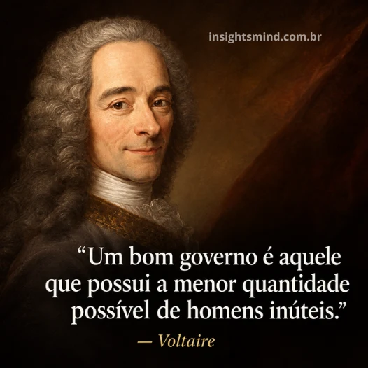 Imagem com a frase “Um bom governo é aquele que possui a menor quantidade possível de homens inúteis.”, de Voltaire