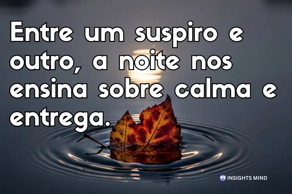Frases para refletir sobre o dia. - Frase 6