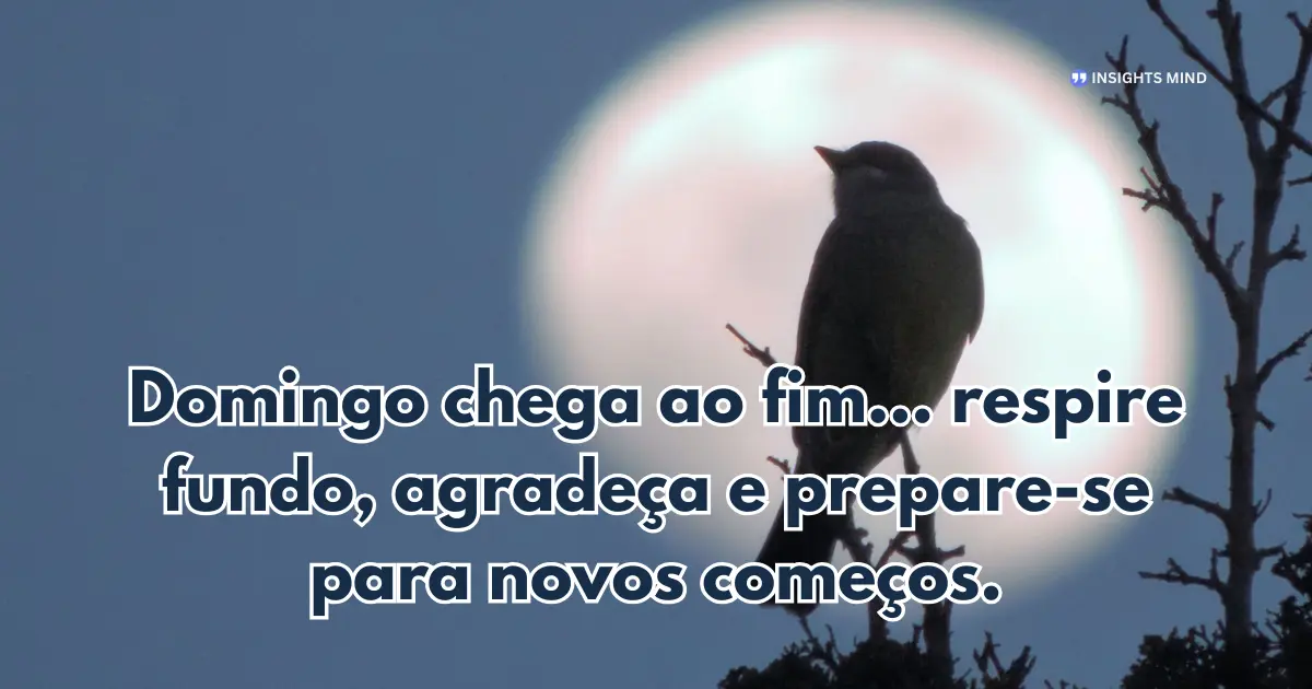 Boa noite domingo 18