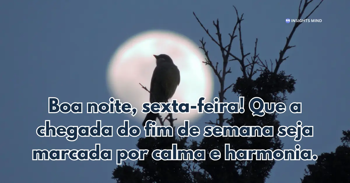 Boa noite sexta-feira 18