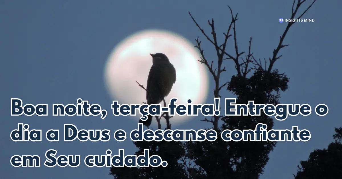 Boa noite terça-feira 20