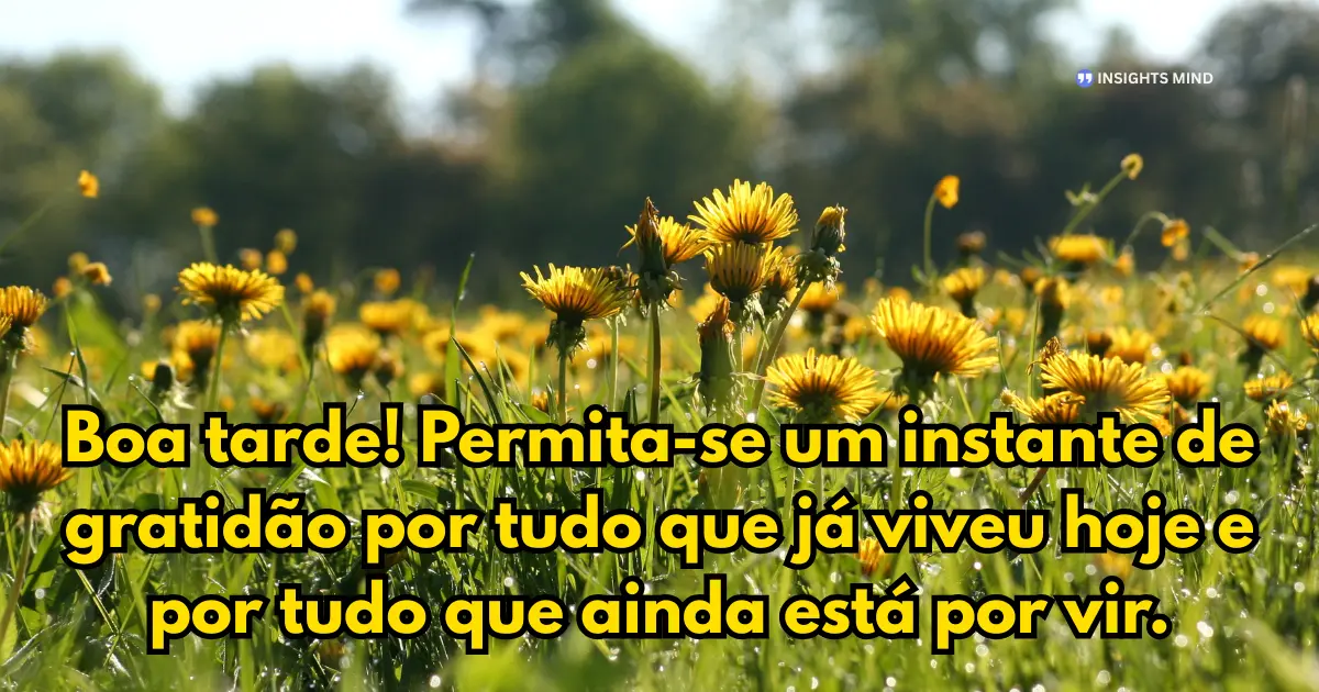 Mensagem de boa tarde com gratidão