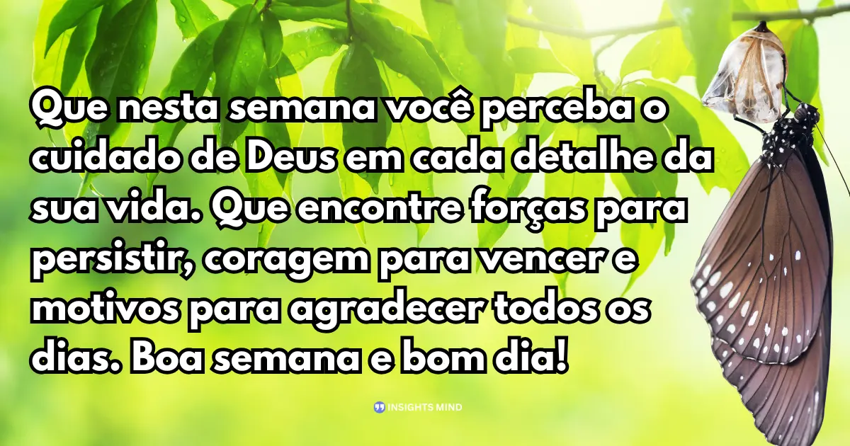 Perceba o cuidado de Deus em cada detalhe da semana