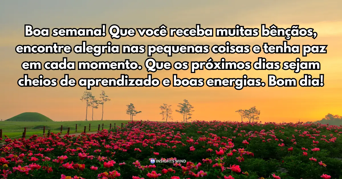 Bênçãos, alegria nas pequenas coisas e paz em cada momento