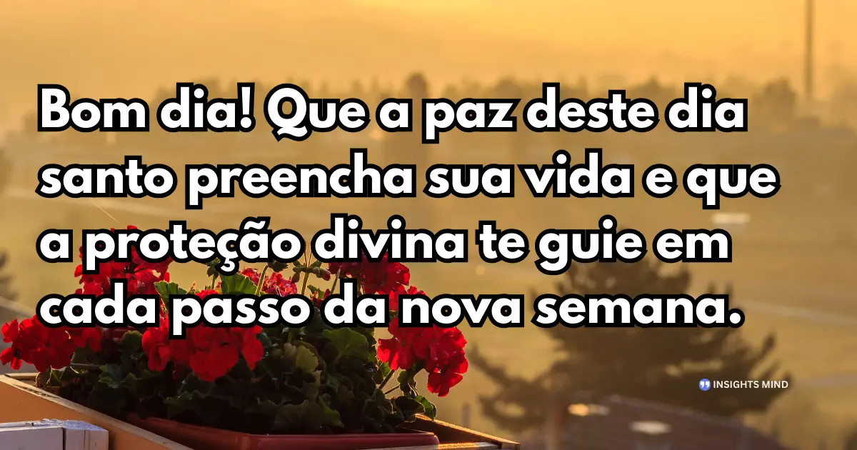 bom dia domingo paz divina