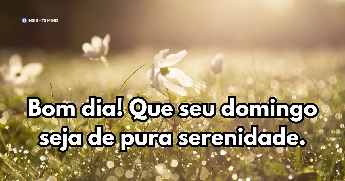 bom dia domingo tranquila