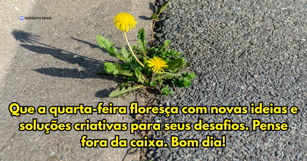 bom dia quarta-feira novas ideias e soluções