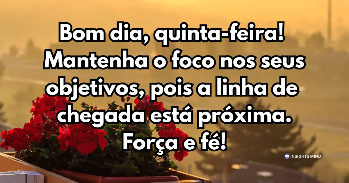 bom dia quinta-feira foco nos objetivos