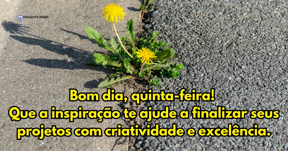 bom dia quinta-feira criatividade