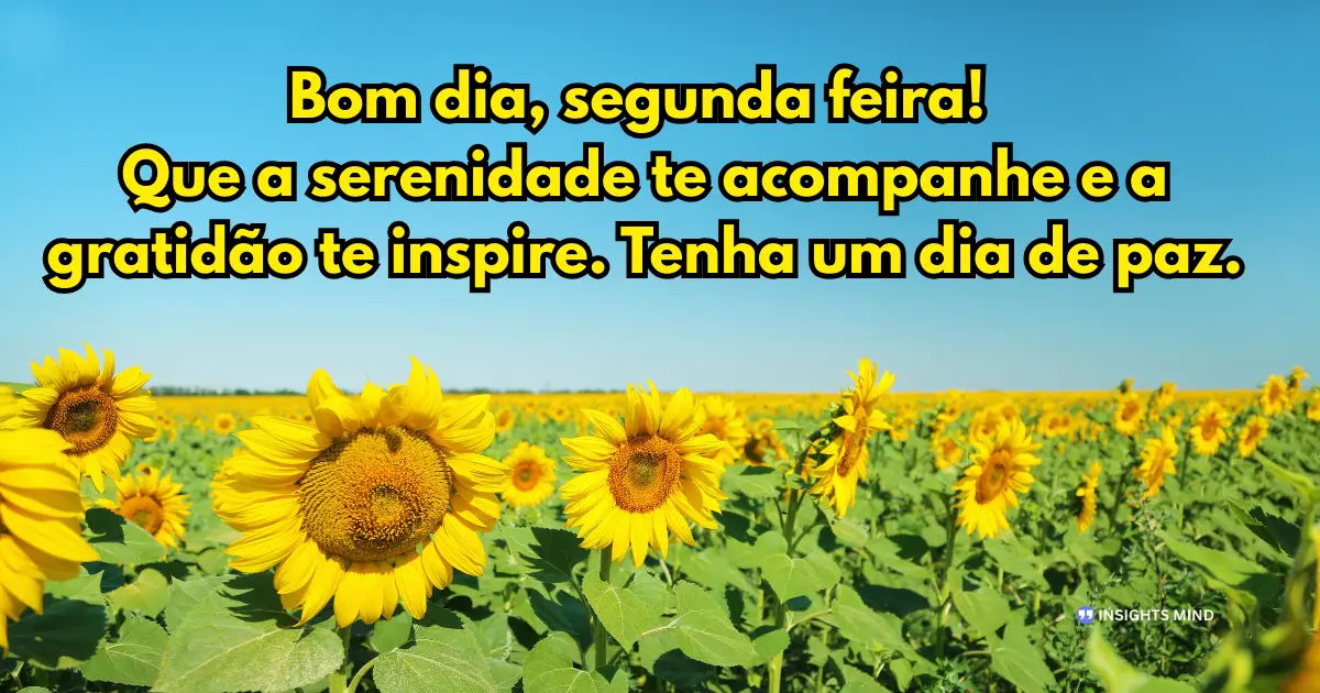 frase de bom dia segunda-feira