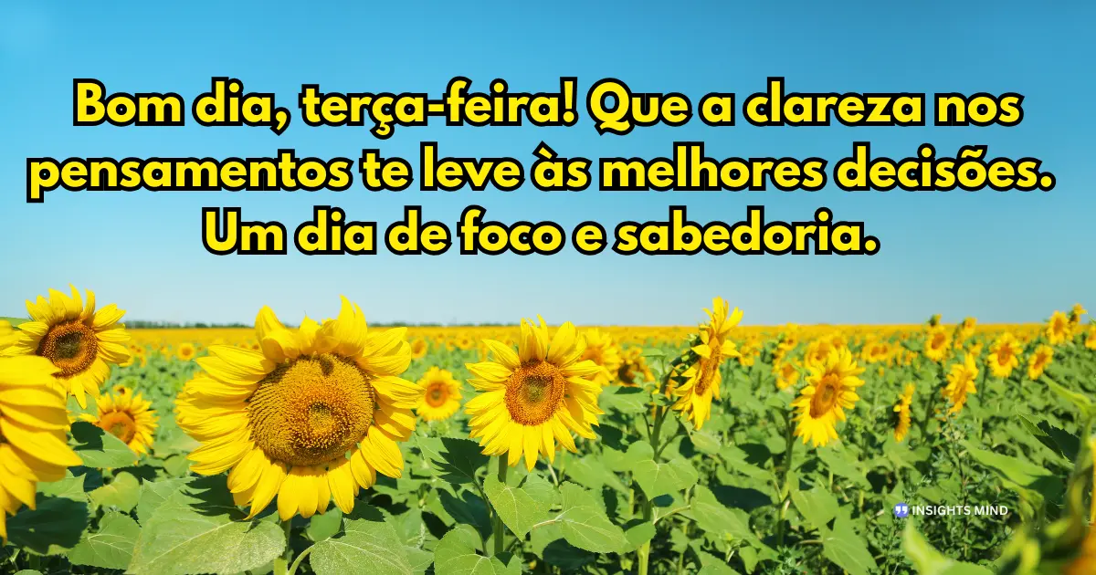 bom dia terça-feira foco