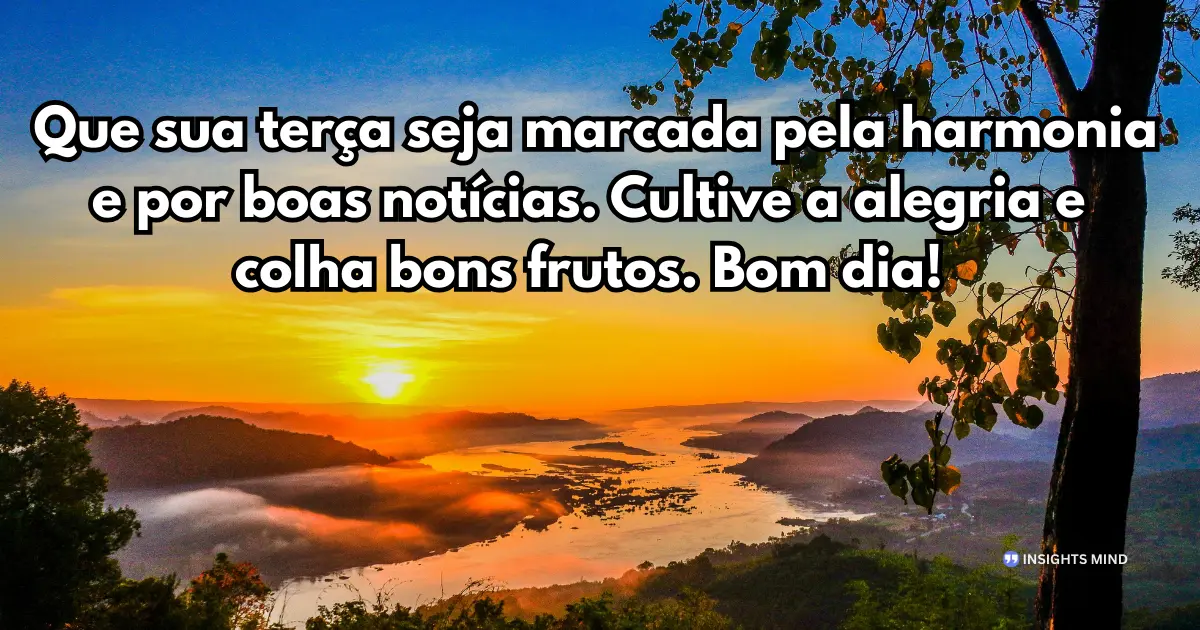 bom dia terça-feira harmonia