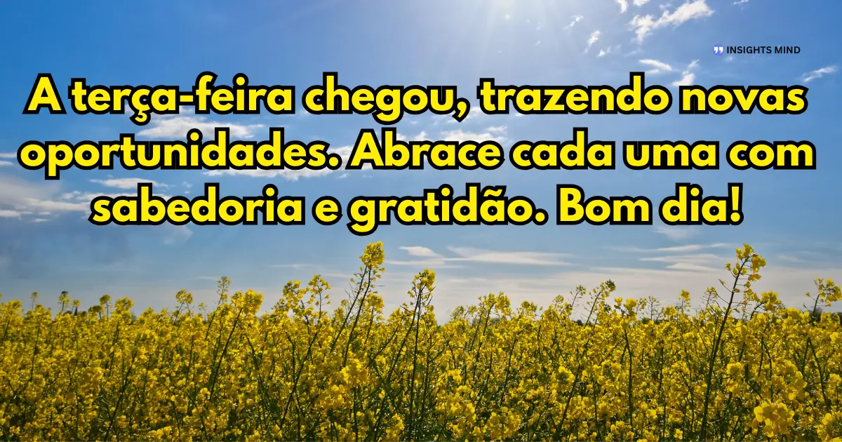 bom dia terça-feira oportunidades