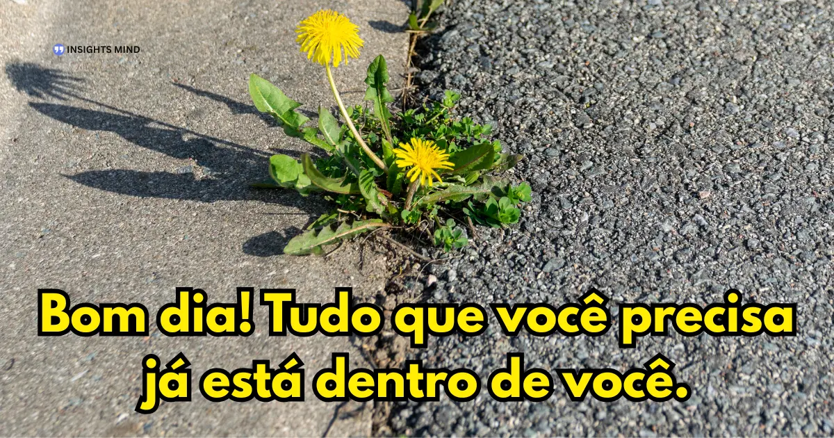 Bom dia WhatsApp — frase 21