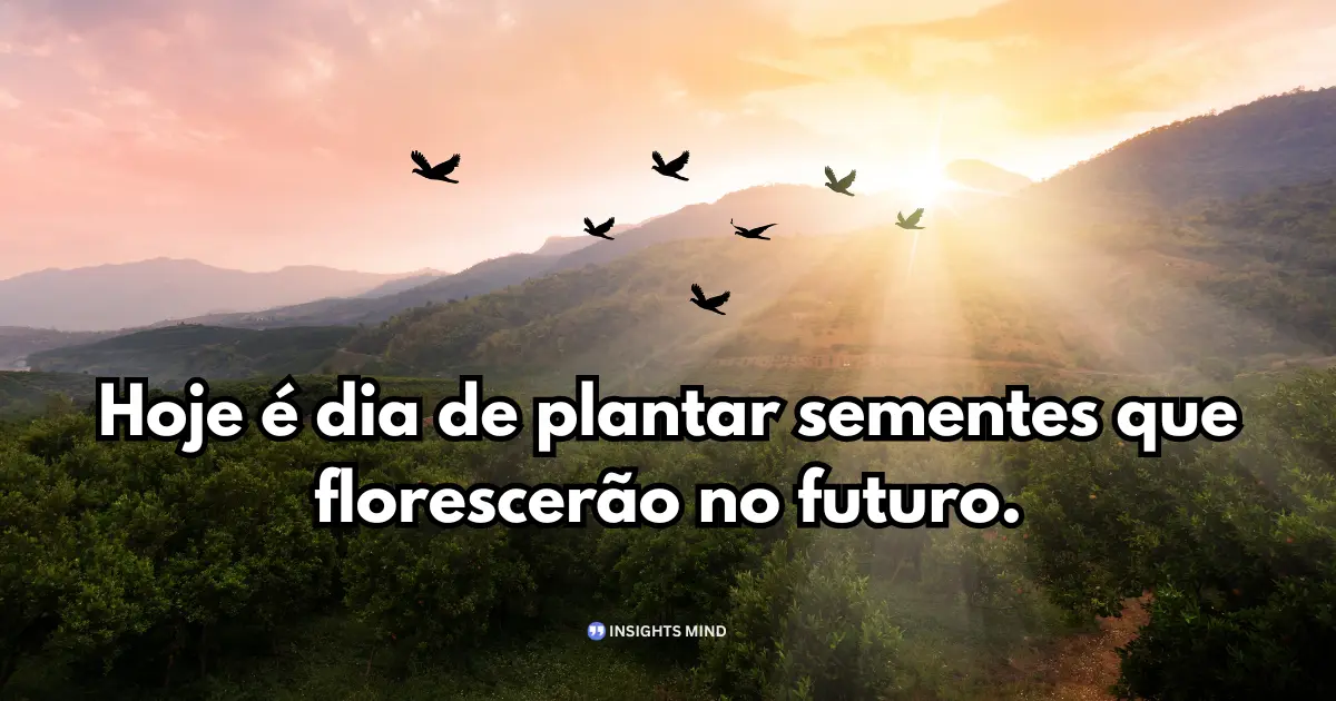 Bom dia WhatsApp — frase 24