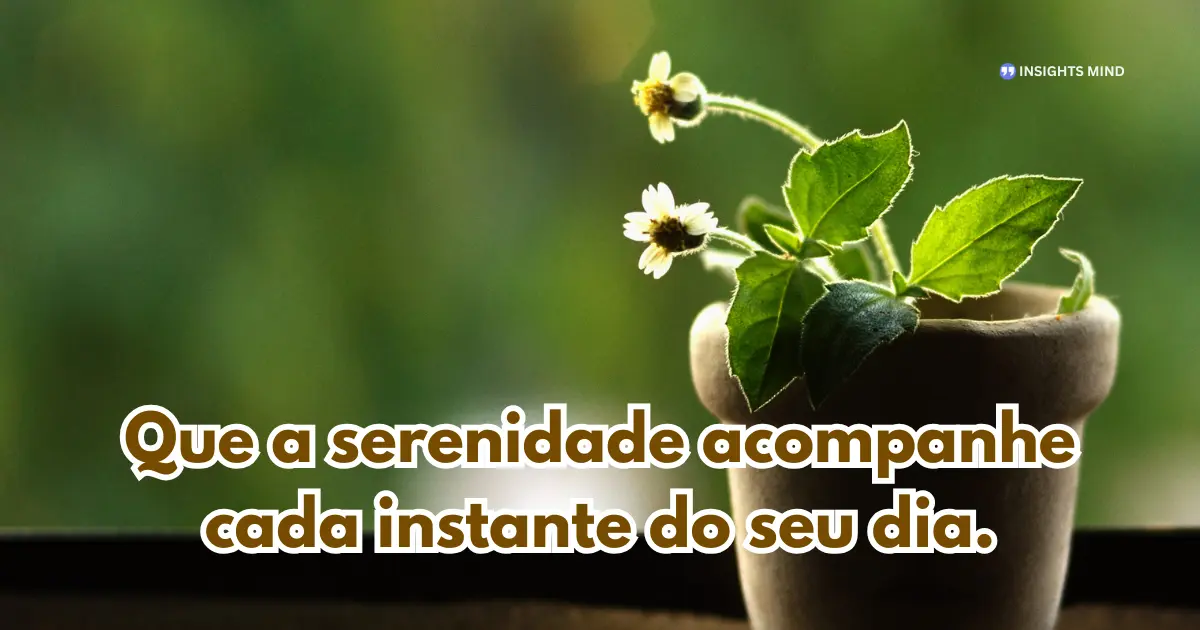 Bom dia WhatsApp — frase 32