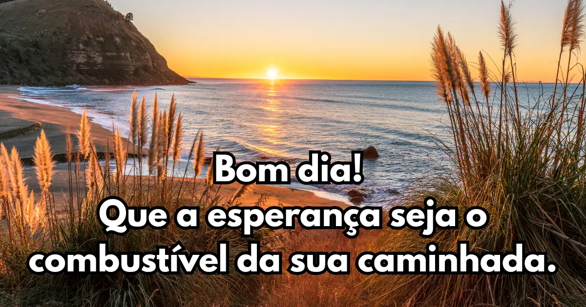 Bom dia WhatsApp — frase 5