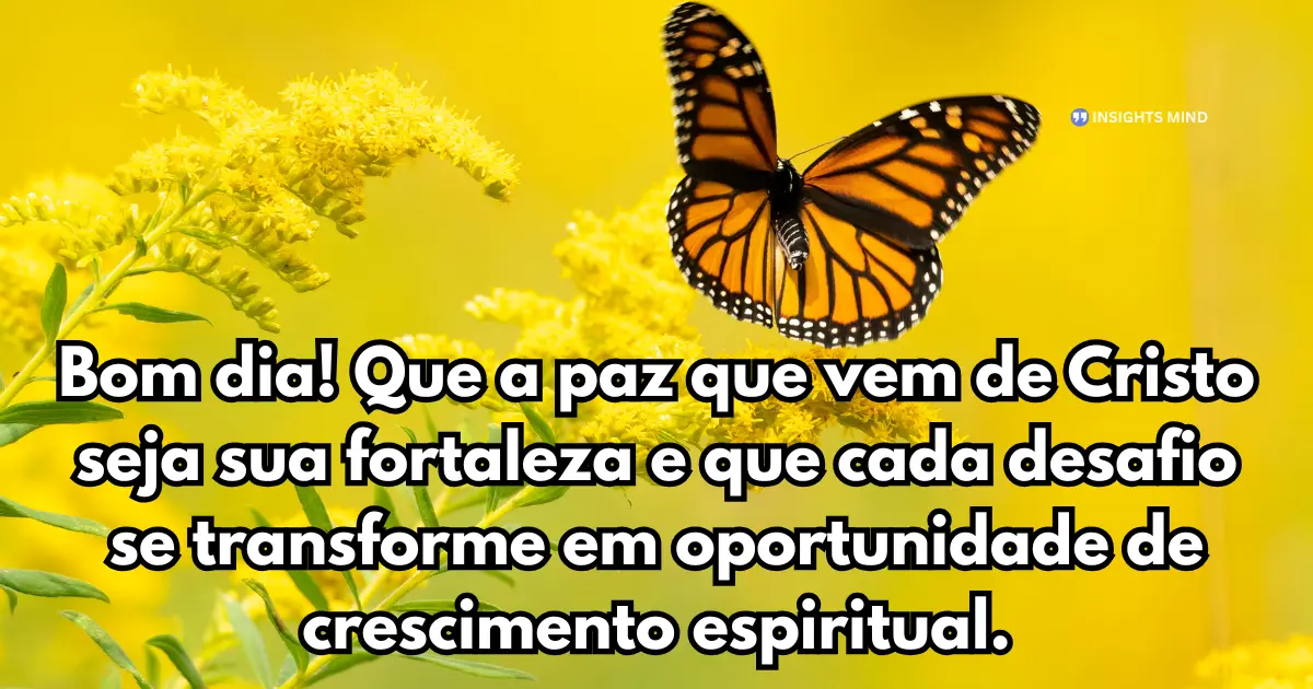 Mensagem evangélica de bom dia 11
