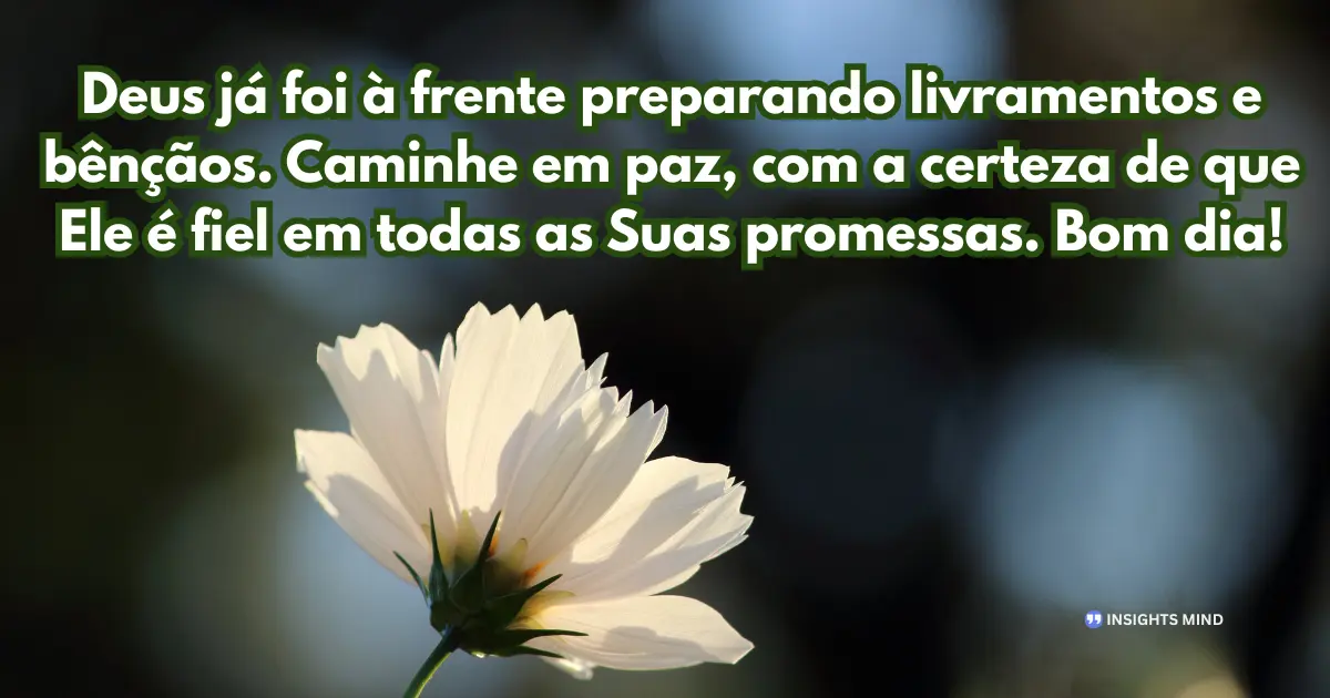 Mensagem evangélica de bom dia 16