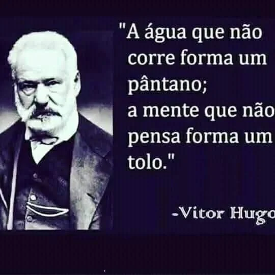 Imagem com a frase “A água que não corre forma um pântano; a mente que não pensa forma um tolo.”, de Victor Hugo