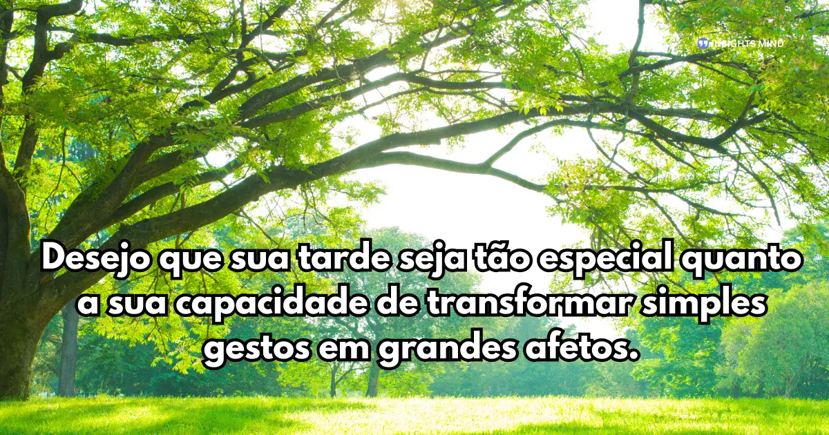 Mensagem linda de boa tarde