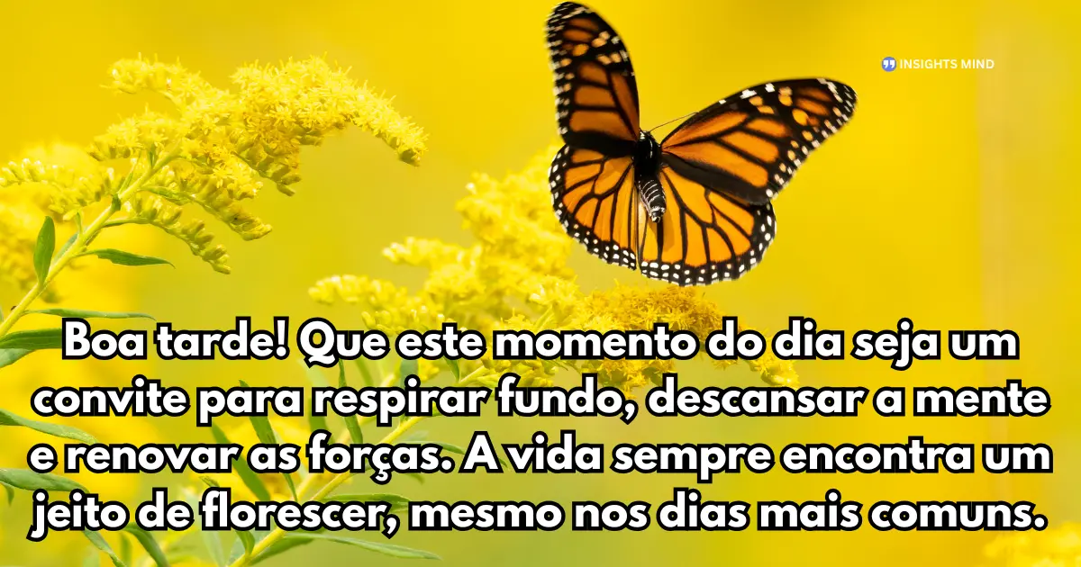 Boa tarde! Que este momento do dia seja um convite para respirar fundo, descansar a mente e renovar as forças. A vida sempre encontra um jeito de florescer, mesmo nos dias mais comuns.