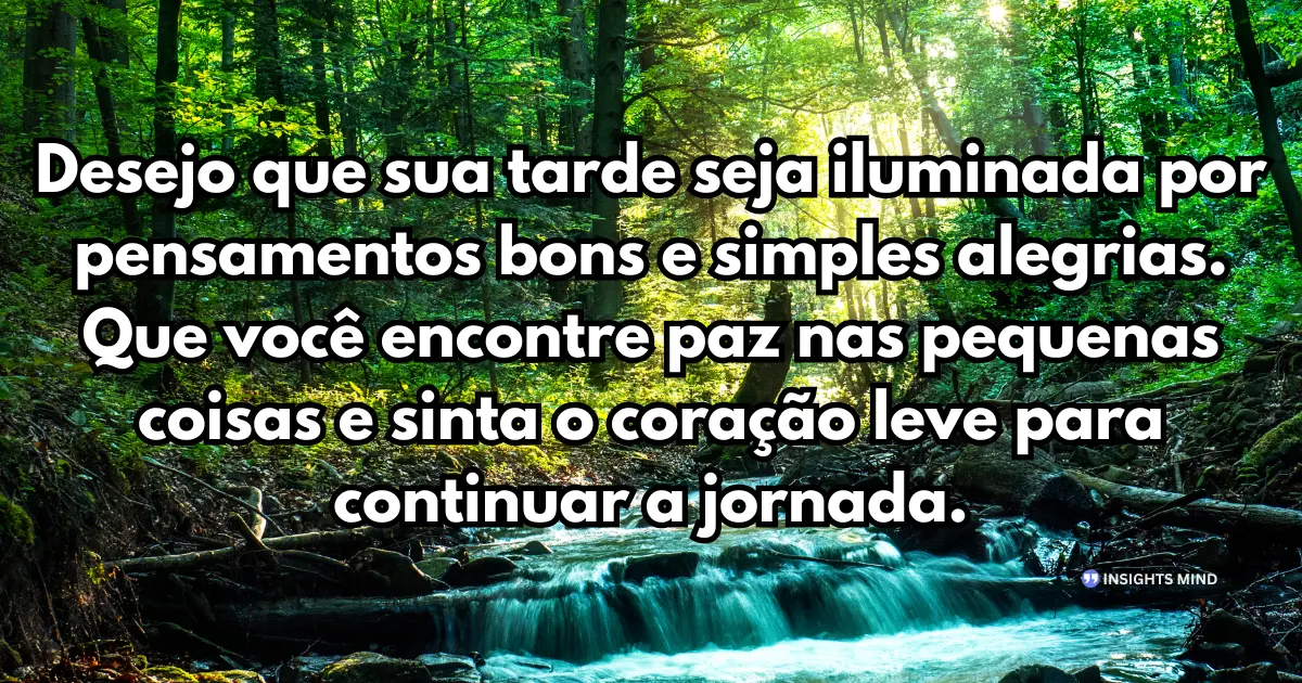 Desejo que sua tarde seja iluminada por pensamentos bons e simples alegrias. Que você encontre paz nas pequenas coisas e sinta o coração leve para continuar a jornada.