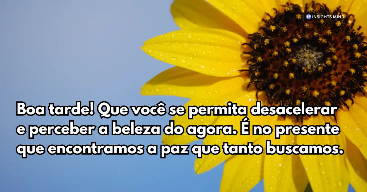 Boa tarde! Que você se permita desacelerar e perceber a beleza do agora. É no presente que encontramos a paz que tanto buscamos.