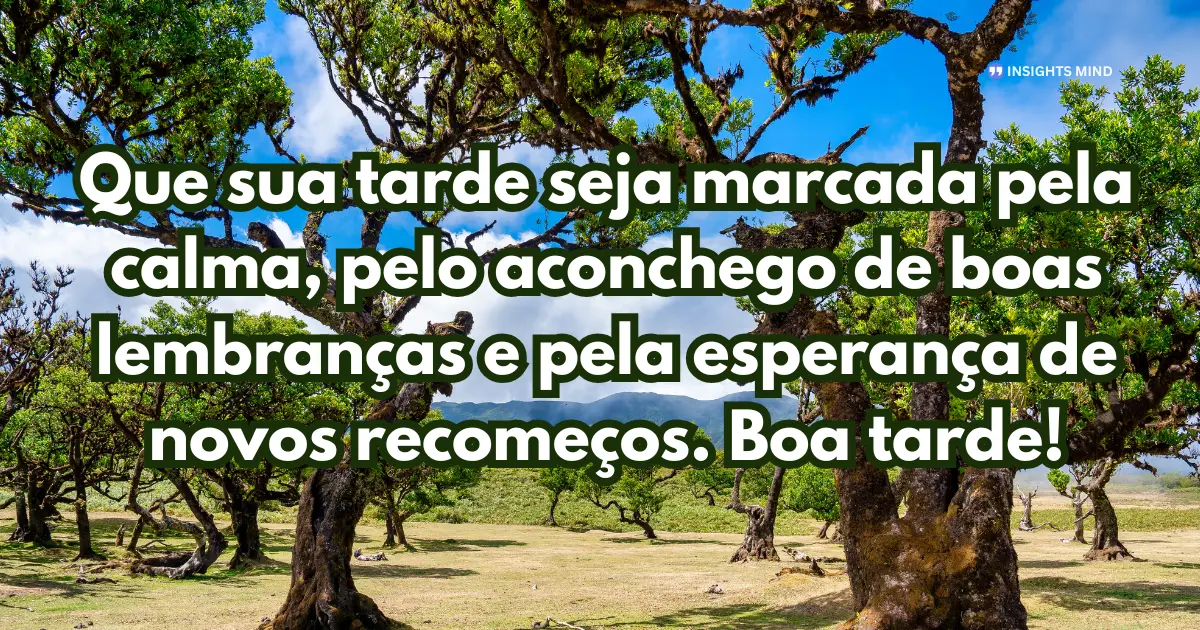 Que sua tarde seja marcada pela calma, pelo aconchego de boas lembranças e pela esperança de novos recomeços. Boa tarde!