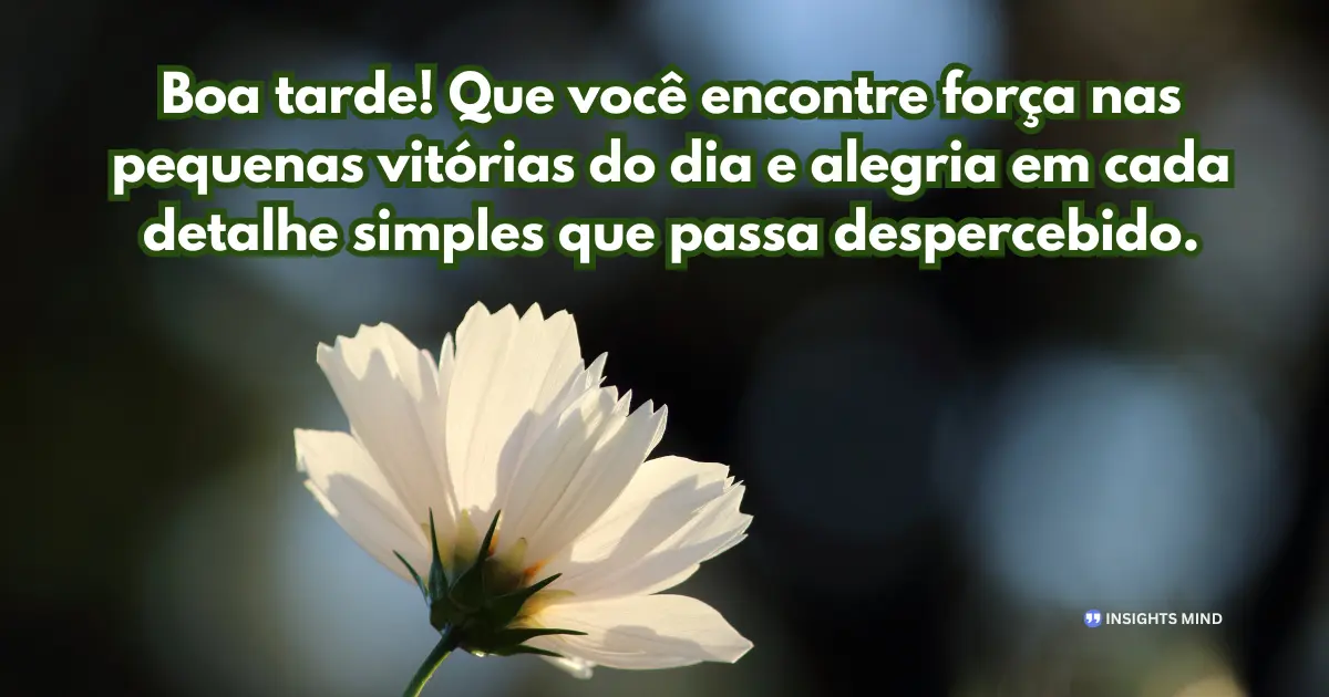 Boa tarde! Que você encontre força nas pequenas vitórias do dia e alegria em cada detalhe simples que passa despercebido.
