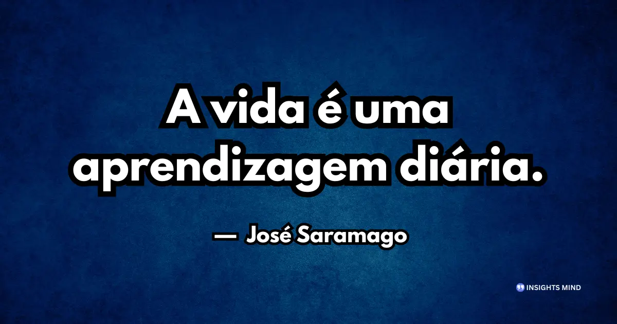 frases do dia a dia