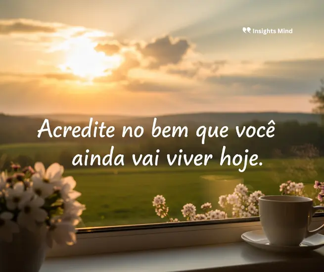 frases para o dia a dia