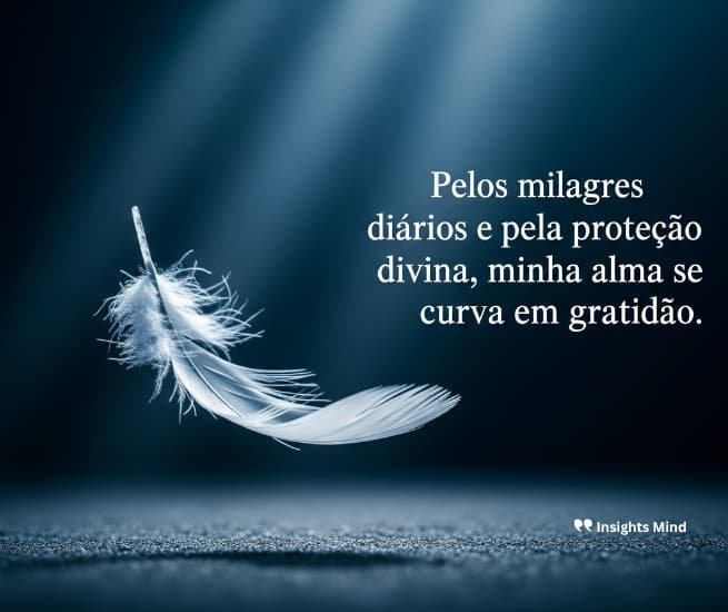 Frase de gratidão 14
