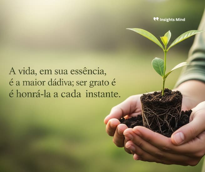 Frase de gratidão 2