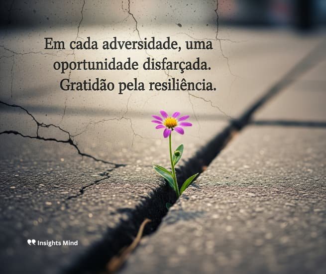 Frase de gratidão 37