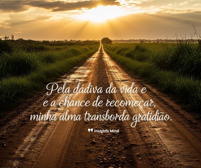 Frase de gratidão 4