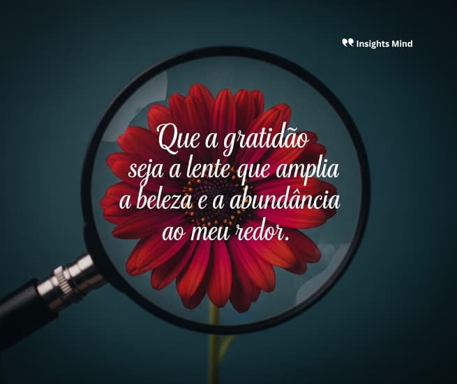 Frase de gratidão 48