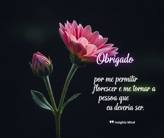 Frase de gratidão 70