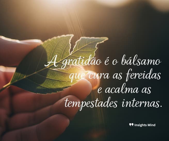 Frase de gratidão 84