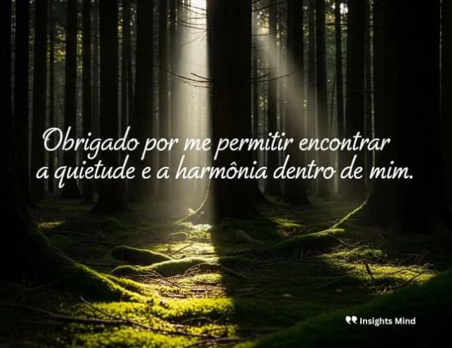 Frase de gratidão 85