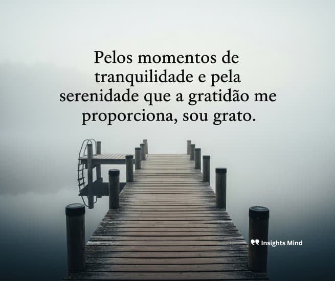 Frase de gratidão 87