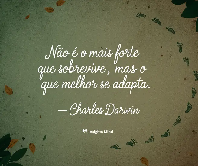 Frase de sucesso