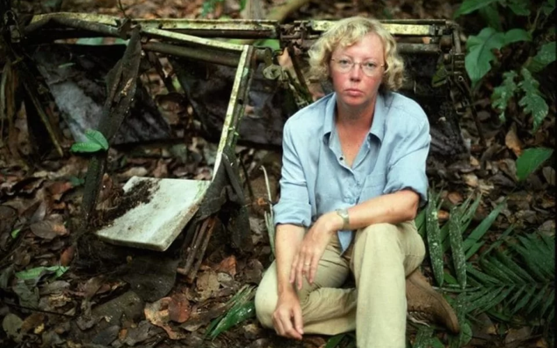 Juliane Koepcke sobreviveu a queda de avião e 11 dias na selva amazônica. Conheça a incrível história da única sobrevivente do voo LANSA 508.